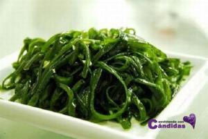 chlorella, superalimentos y candidiasis
