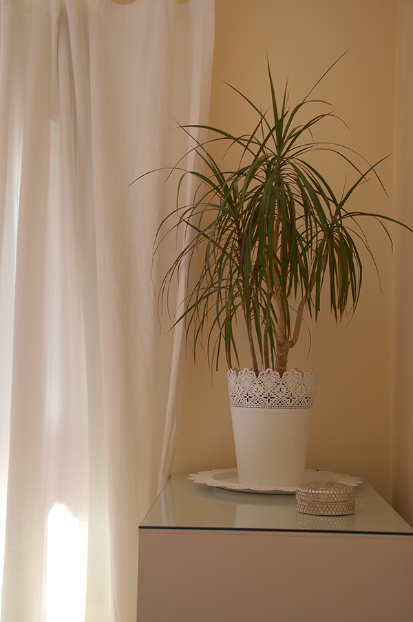 Mi dormitorio; Color berenjena para la pared.