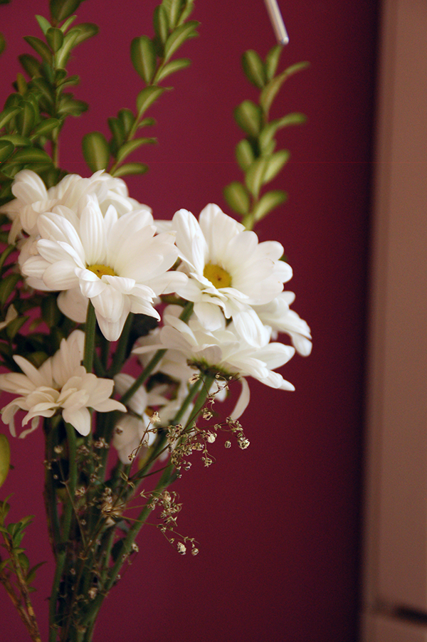 Mi dormitorio; Color berenjena para la pared.