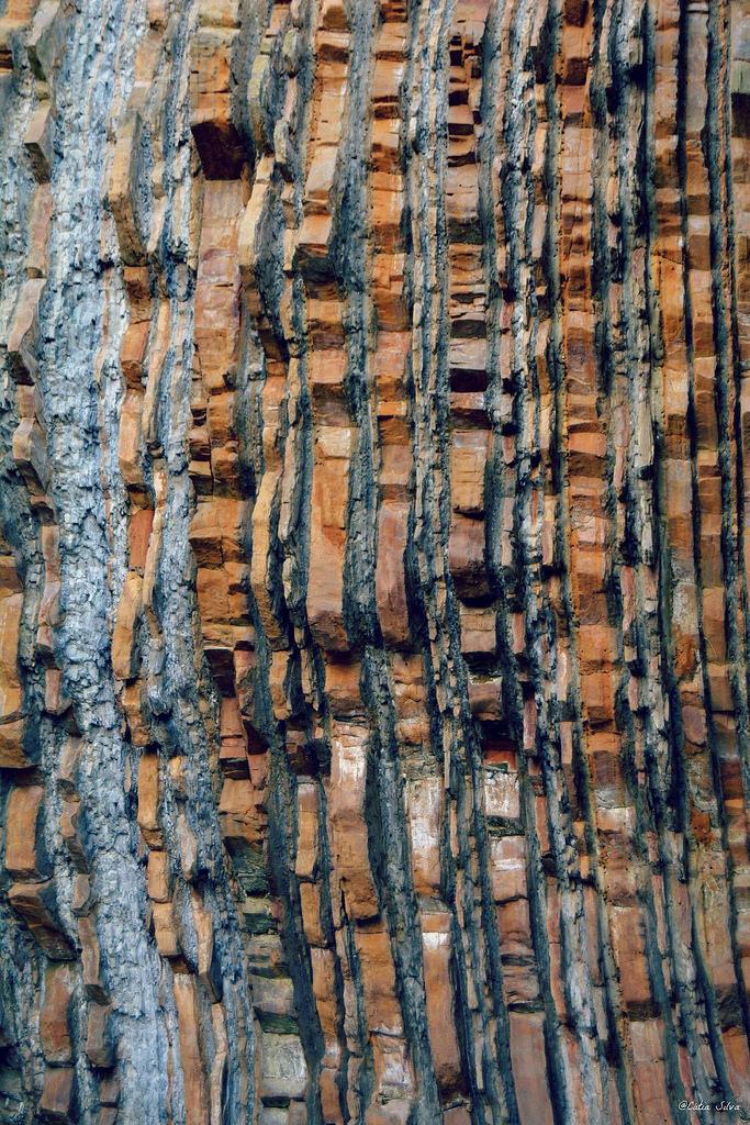 Donostia - San Sebastián (16)