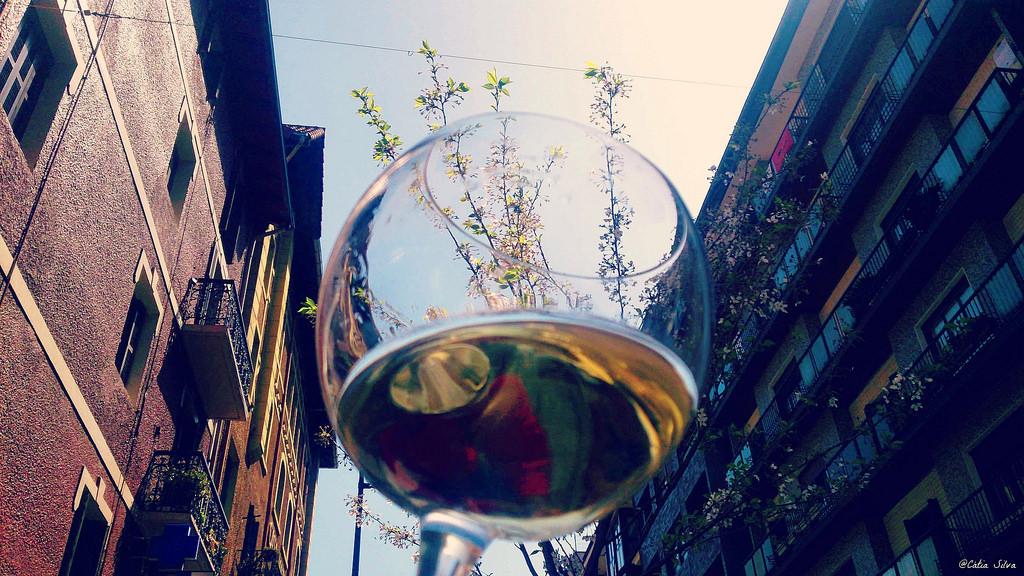 Donostia - San Sebastián (20)