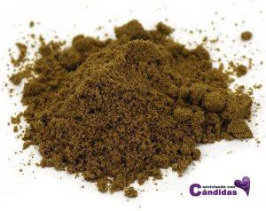 superalimentos y candidiasis