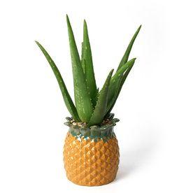 top-ten-pinya-pineapple-adoraideas-6