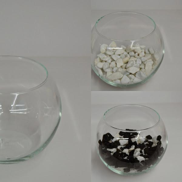 Materiales para un terrario