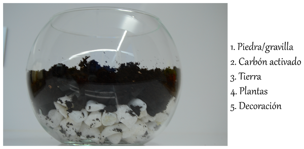 Hacer un terrario