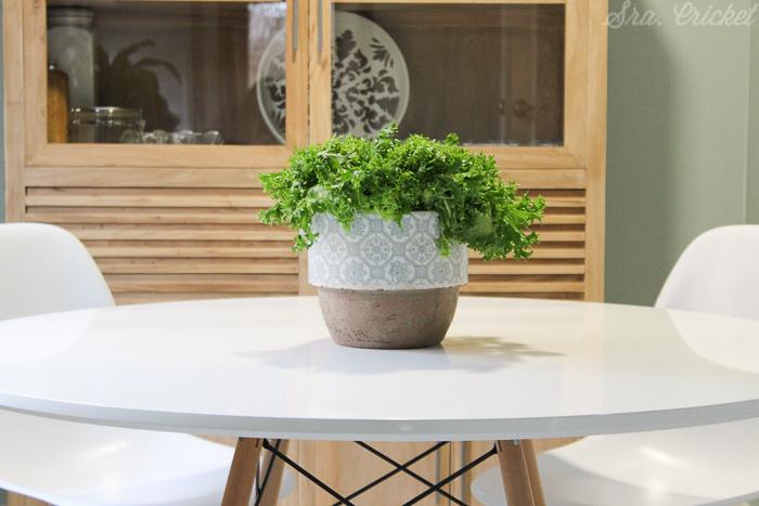 centro de mesa cocina lechuga