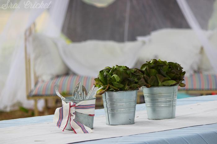 lechugas centro de mesa