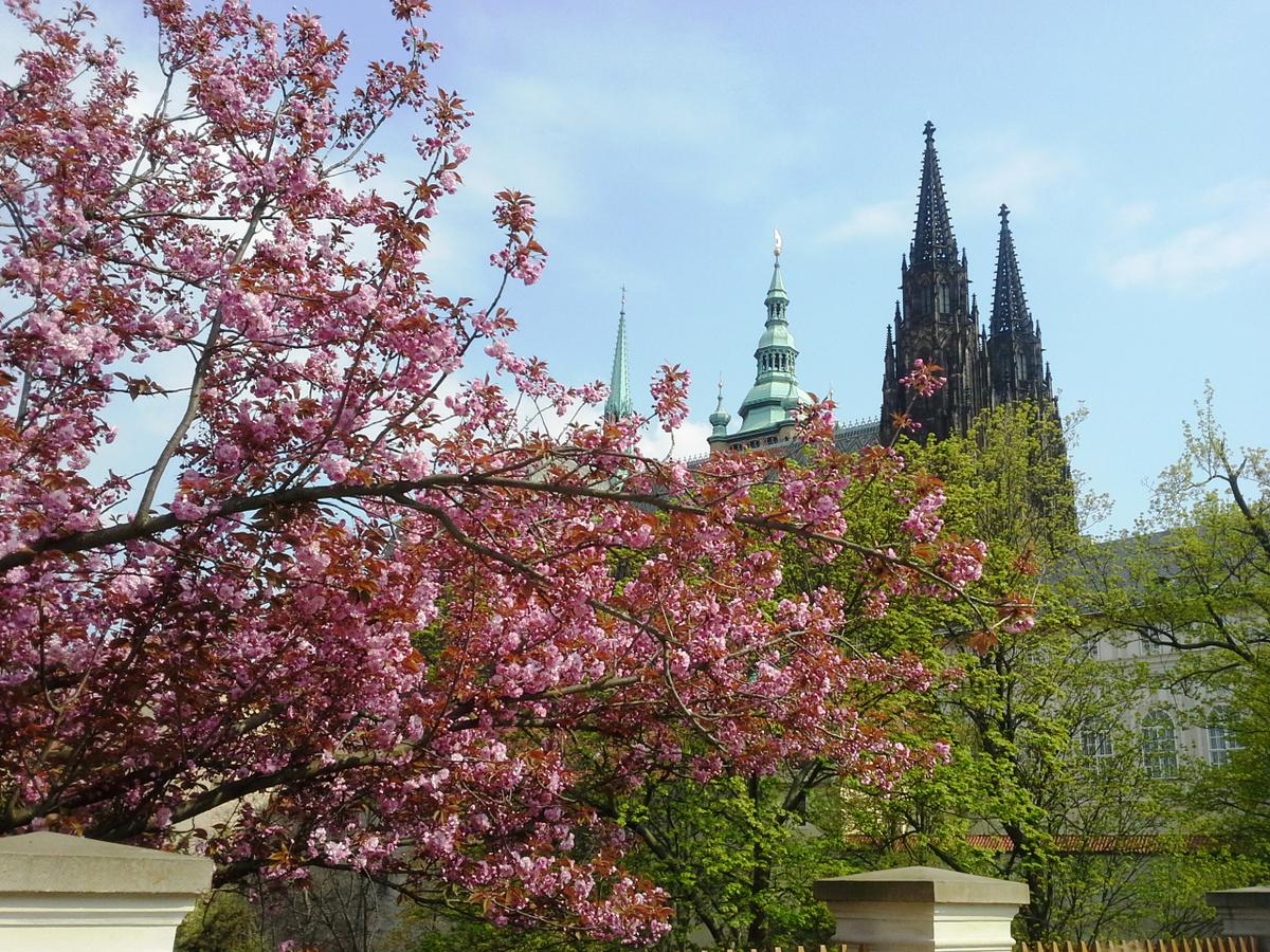 Nada como viajar en primavera...