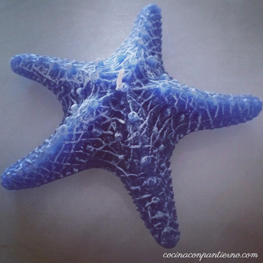 decomarina-estrellademar