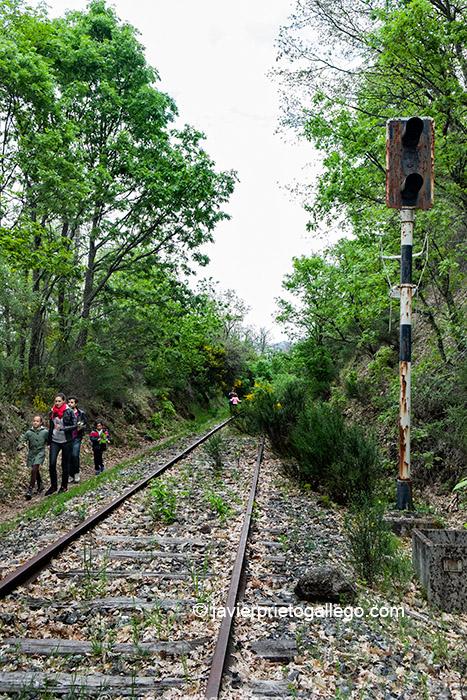 Vías del trazado ferroviario de la Ruta de la Plata que funcionó entre 1890 y los años 80 del siglo XX. Forma parte de la Senda del Cedro de la Francesa. Béjar. Salamanca. Castilla y León. España © Javier Prieto Gallego;
