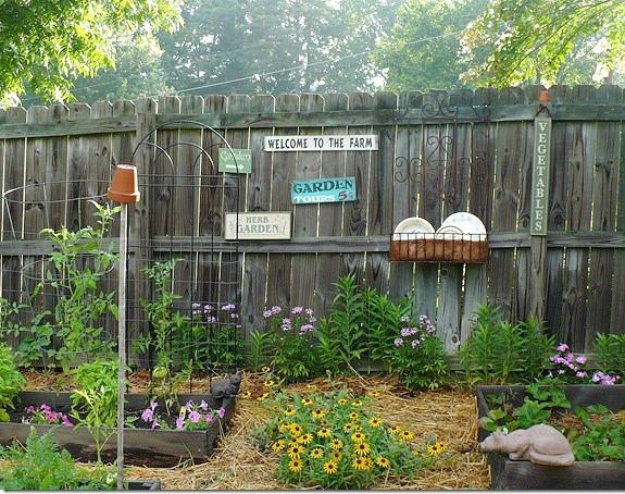 adding_flowers_in_a_vegetable_garden