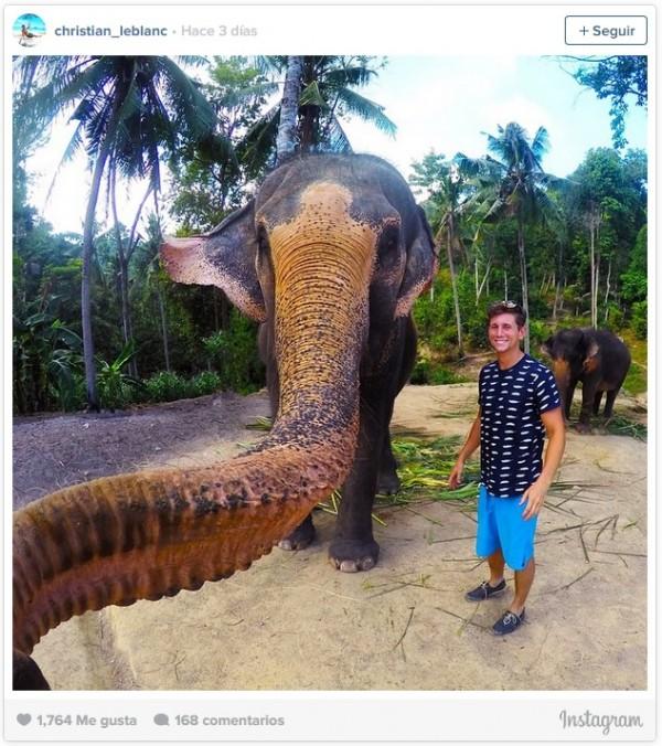 selfe-tomada-por-elefante
