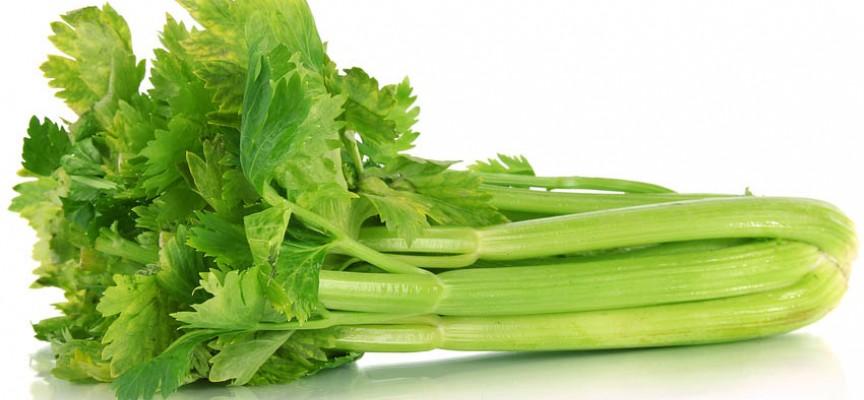 REMEDIOS CASEROS PARA EL MAL ALIENTO