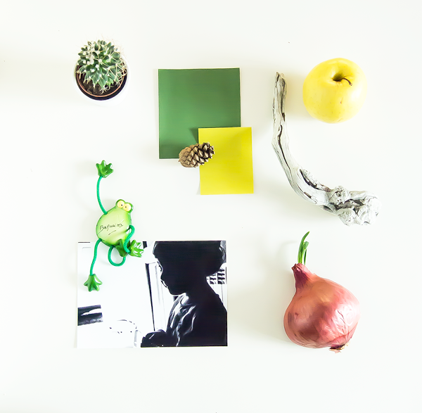 knolling o moodbord de inspiracion pantone