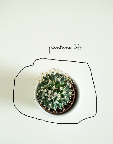 knolling o moodbord de inspiracion pantone