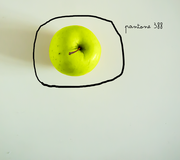 knolling o moodbord de inspiracion pantone