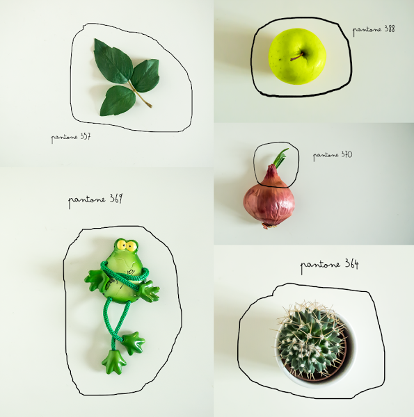 knolling o moodbord de inspiracion pantone