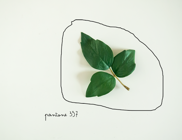 knolling o moodbord de inspiracion pantone