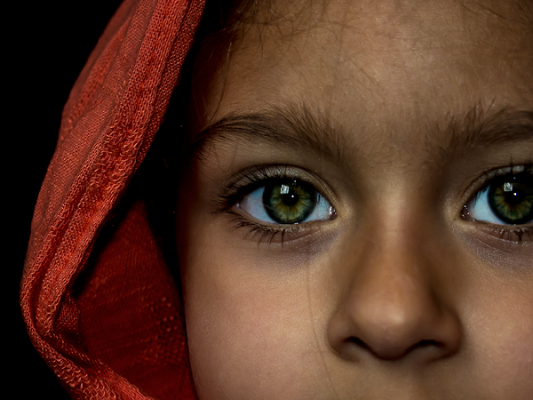 knolling o moodbord de inspiracion pantone