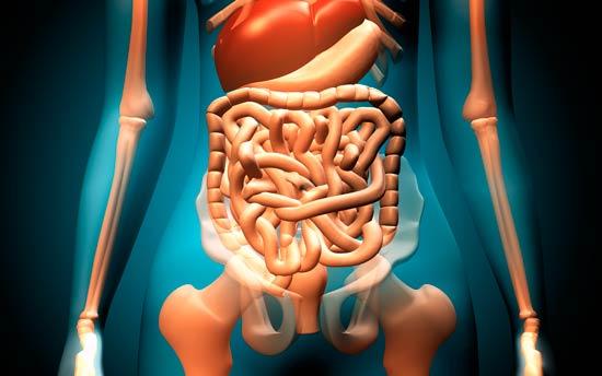 Problemas intestinales