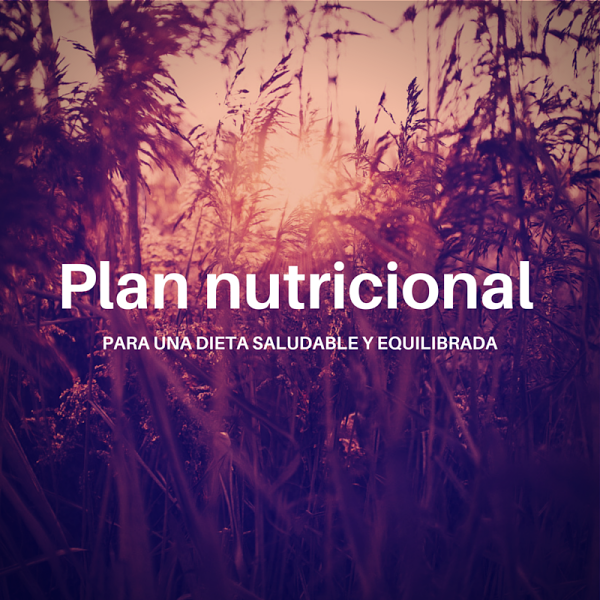 Plan nutricional saludable.