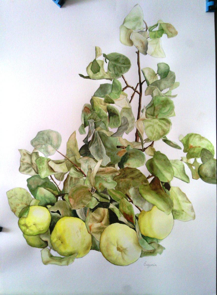 pintura-cuadro-membrillos-adoraideas