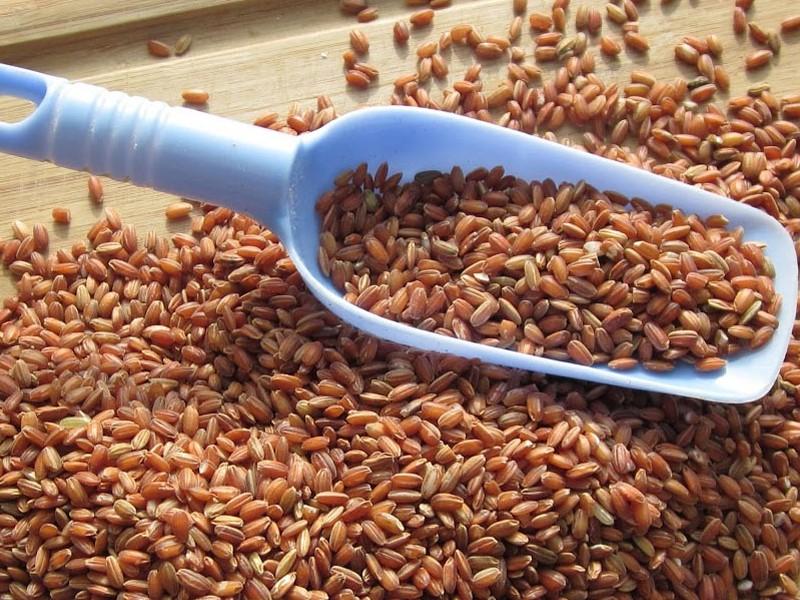 grano arroz rojo