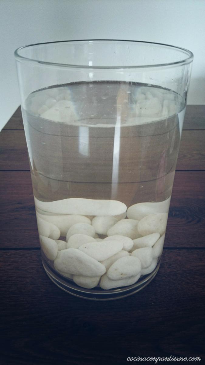 decorarunjarron-deco-agua