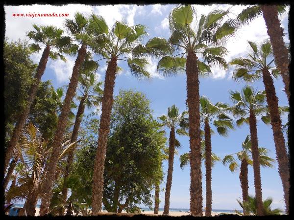 Chiringuito Kite surf playa de sotavento