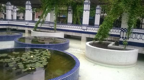 Nenúfares y mosaico Gijón.