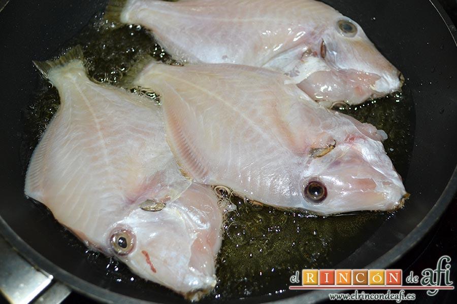 Gallitos fritos, los freímos en aceite de oliva, hasta que queden bien frititos por ambos lados