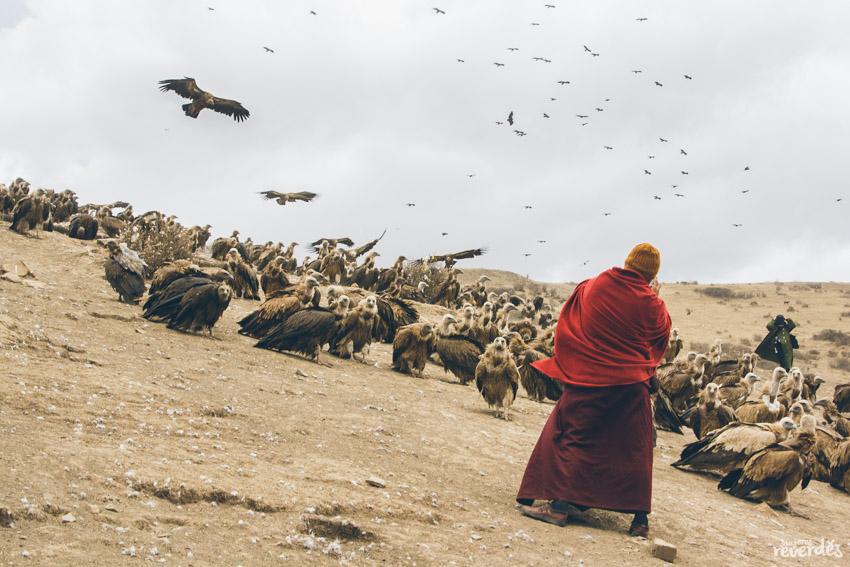 Sky Burial, entierro en el cielo
