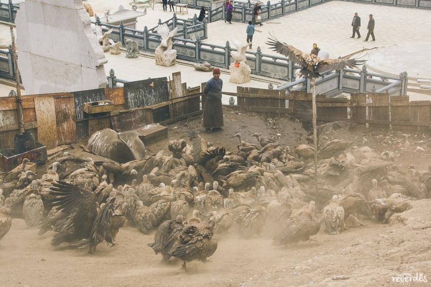 Sky Burial, entierro en el cielo