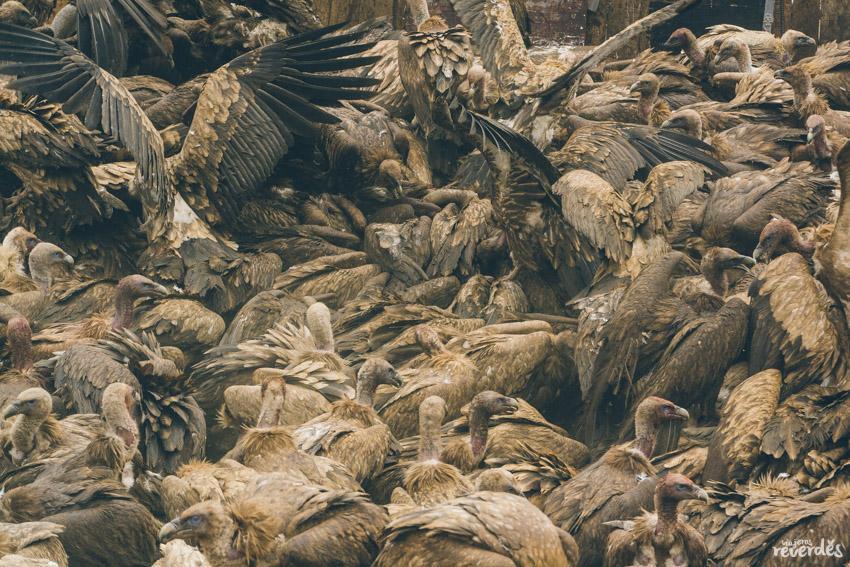 Sky Burial, entierro en el cielo
