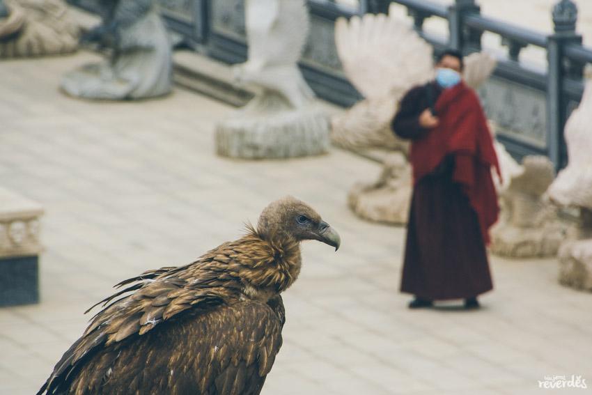 Sky Burial, entierro en el cielo