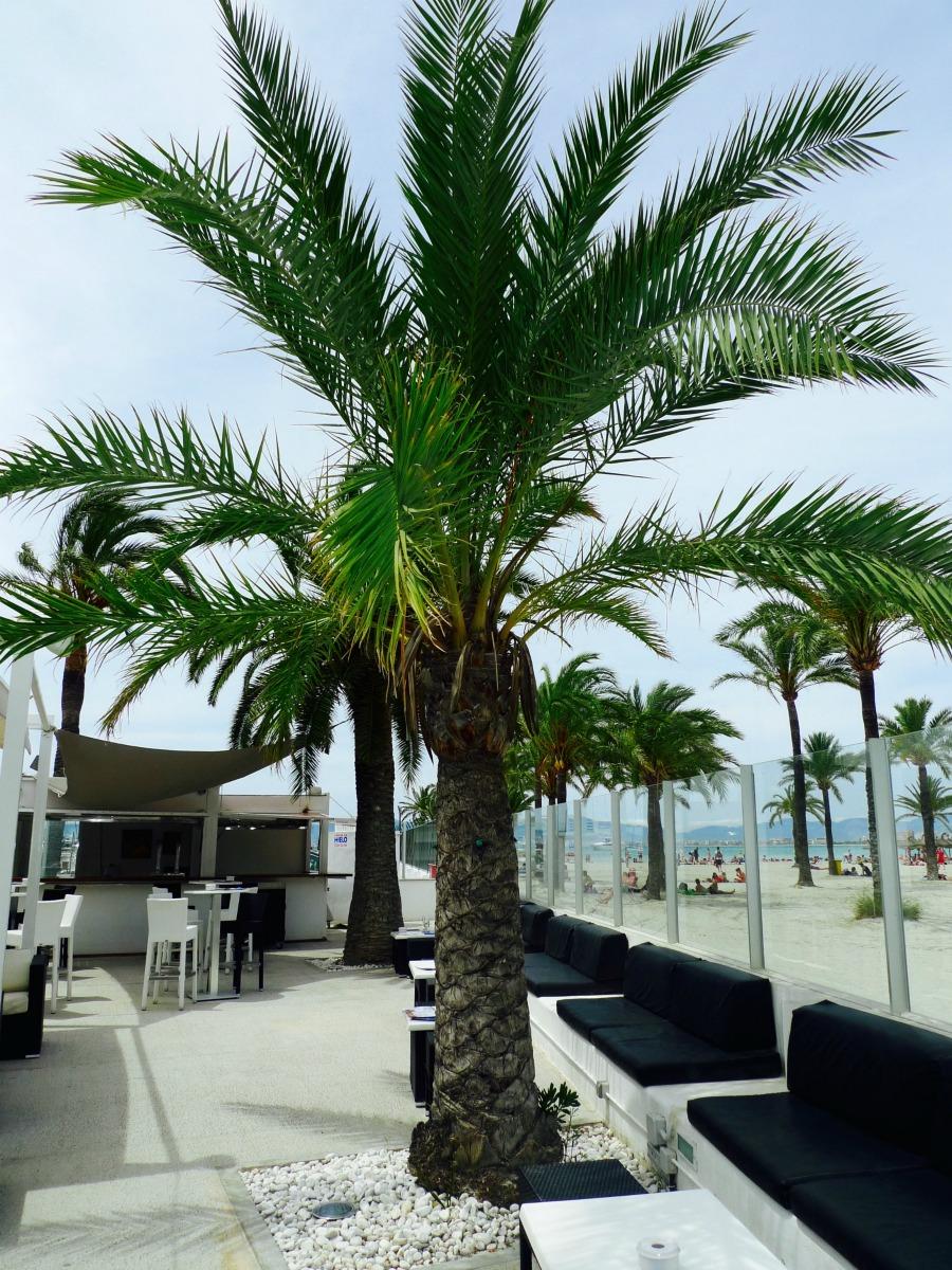 bohemian look paula casielles livelove-polly p