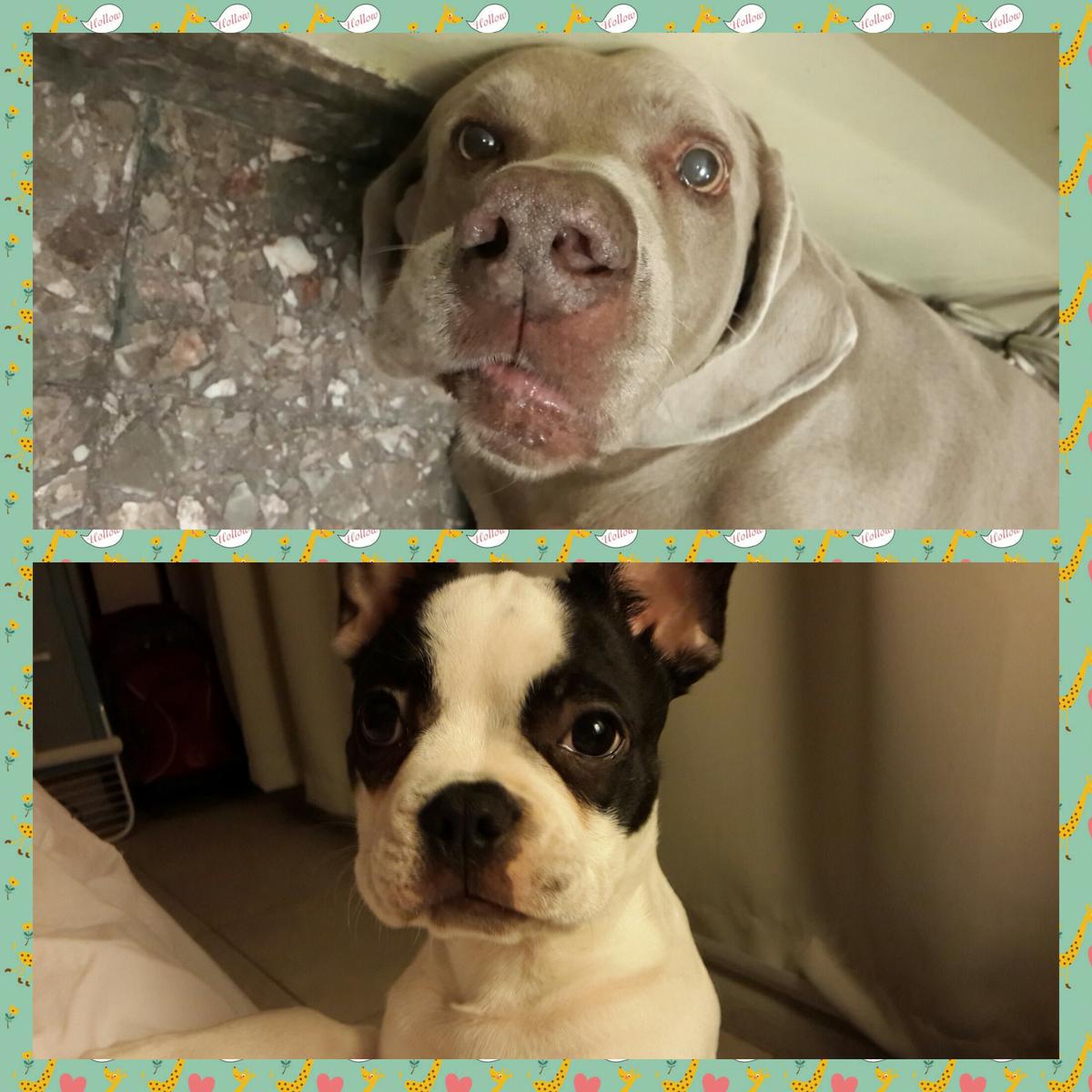 Fotor_14329382954908