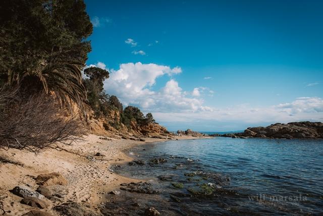 Boda de Alvaro y Nuria-005