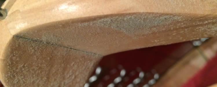 humedades-en-armarios