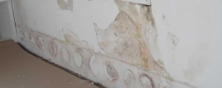 tipo-humedad-capilaridad