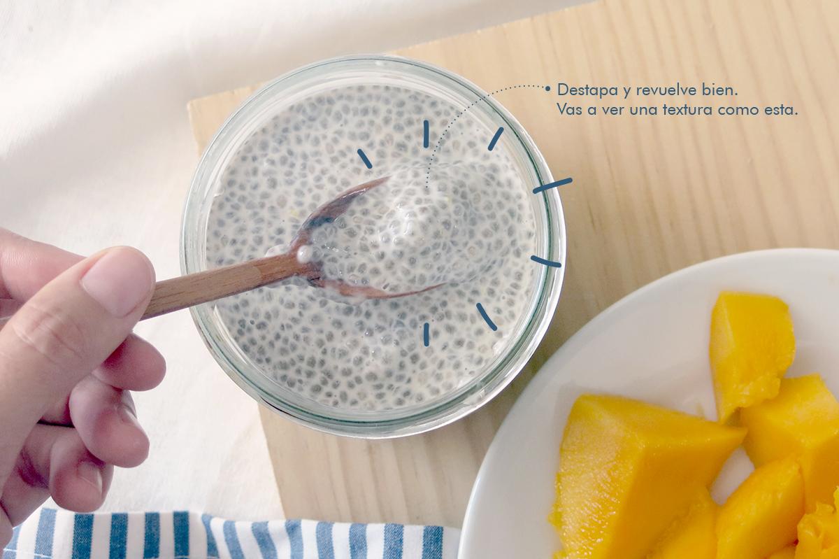 1.pudin-de-chia-9