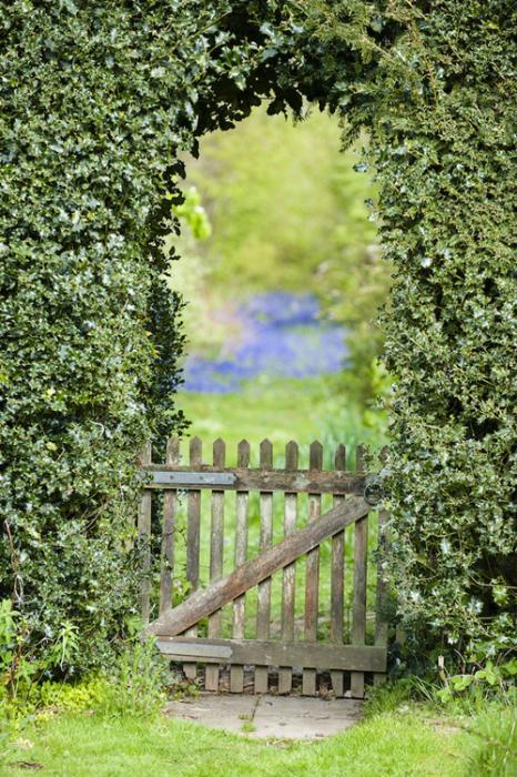 Herramientas de jardinería para podar fácilmente setos y trepadoras 6