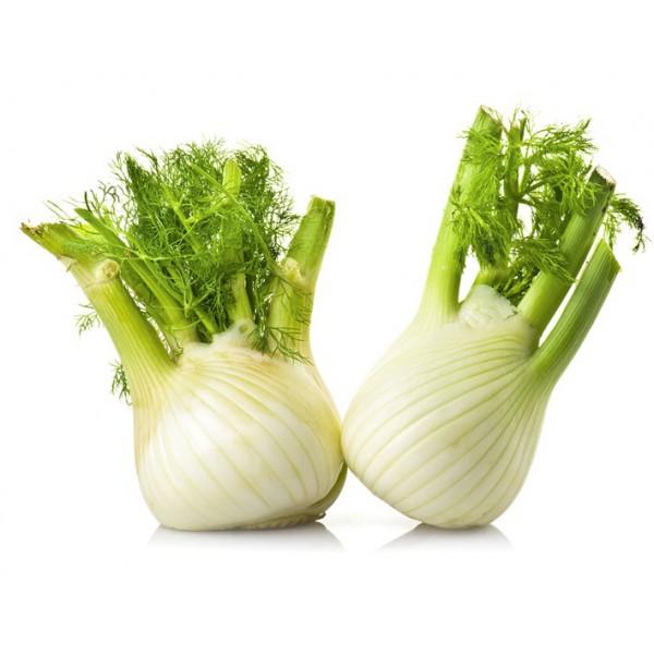 REMEDIOS CASEROS PARA TRATAR LA CONJUNTIVITIS