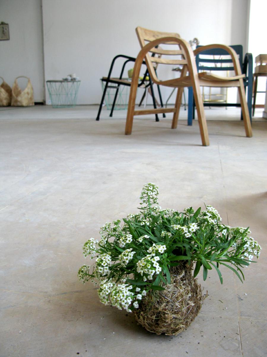 planes-finde-coruña-compostela-8-maow-design-blog-10