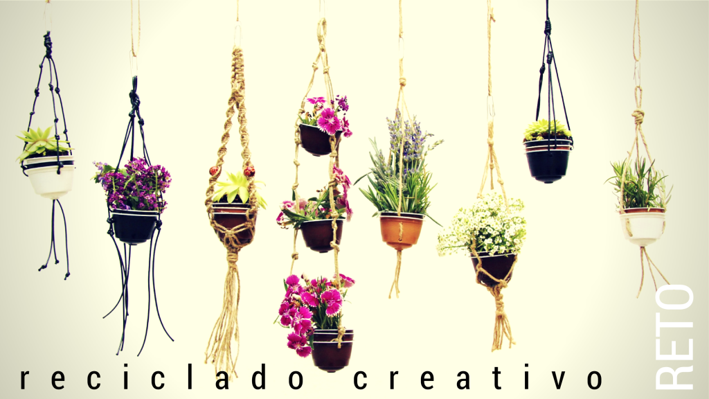 Cápsulas de café recicladas en maceteros decorativos