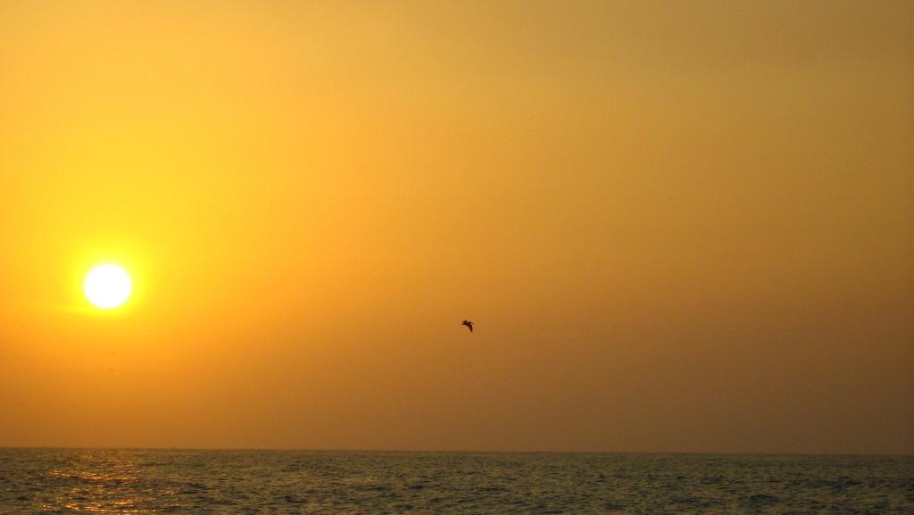 Kauai una de las islas paradisíacas de nuestro planeta