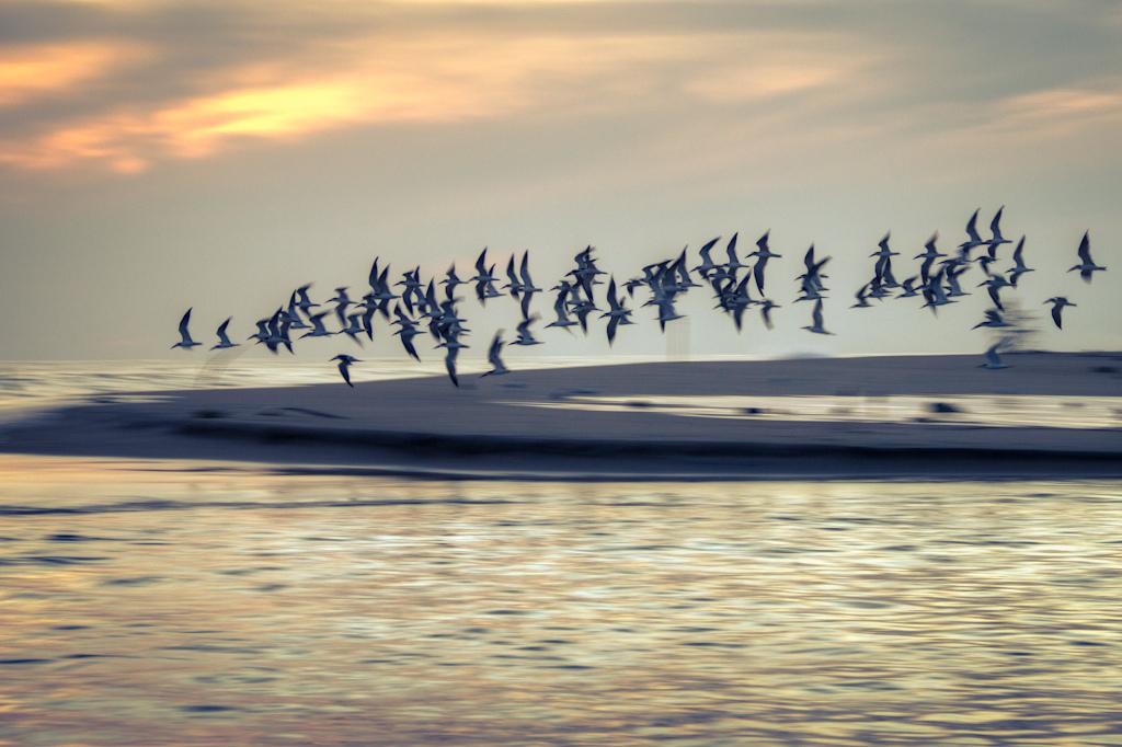 Conoce algunas islas paradisíacas de nuestro planeta