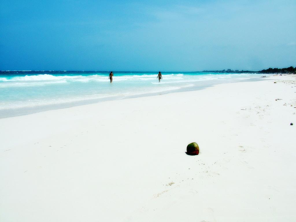 Isla Vanautu, una de las islas paradisíacas de nuestro planeta