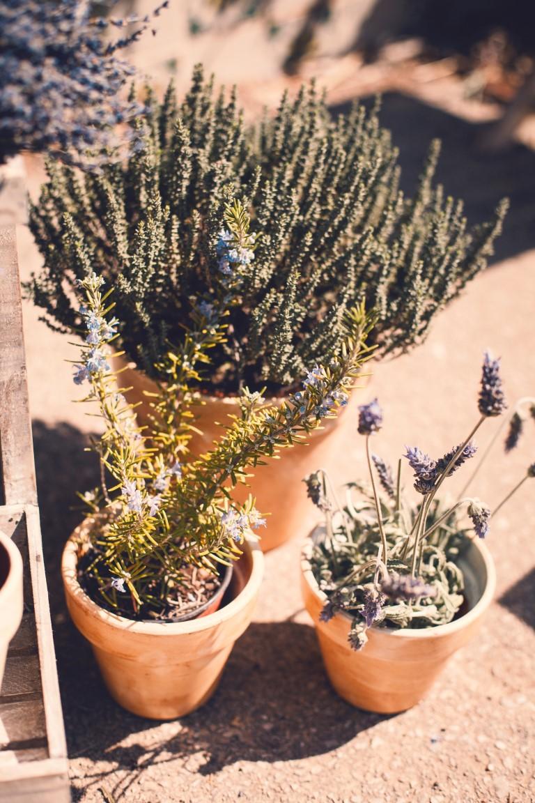 Deco Moments by Fonteyne and Co.017 (Medium)