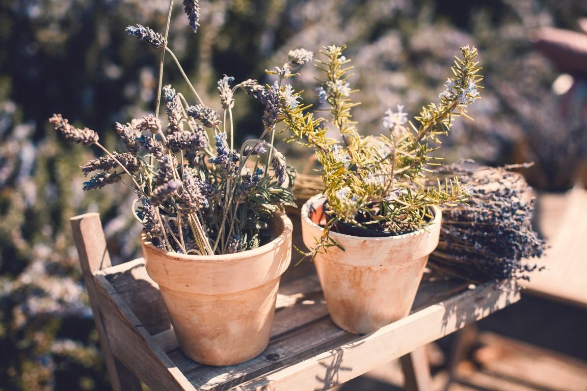 Deco Moments by Fonteyne and Co.019 (Medium)